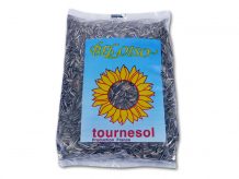 TOURNESOL GROS POUR PERROQUET