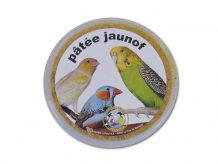 PATEE JAUNOF -