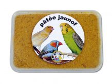 PATEE JAUNOF -
