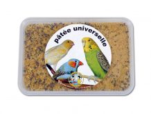 PATEE UNIVERS -