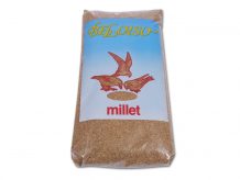 MILLET JAUNE