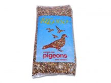 PIGEON AVEC CÉRÉALES