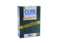 GAZON MEDITERRANEEN