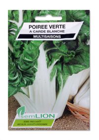 POIREE VERTE A CARDE BLANCHE 2