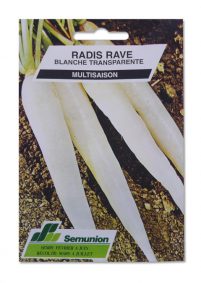 RADIS RAVE BLANCHE TRANSPARENTE