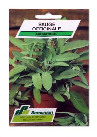 SAUGE OFFICINALE