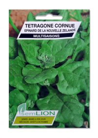 TETRAGONE CORNUE-EPINARD DE LA NOUVELLE ZELANDE