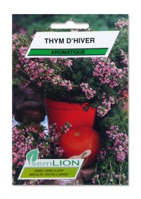 THYM D'HIVER