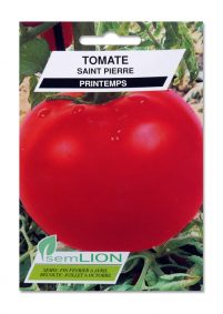 TOMATE SAINT PIERRE