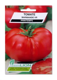 TOMATE MARMANDE VR