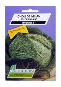 CHOU DE MILAN ROI DES MILANS HYBRIDE F1 (spécialité)