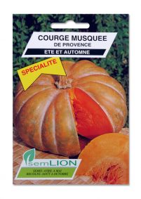 COURGE MUSQUEE DE PROVENCE (spécialité)