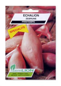 ECHALION ZEBRUNE (spécialité)