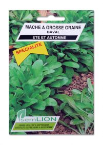 MACHE A GROSSE GRAINE BAVAL (spécialité)