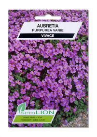 AUBRETIA PURPUREA VARIE