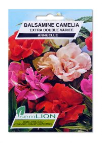 BALSAMINE CAMELIA EXTRA DOUBLE VARIE