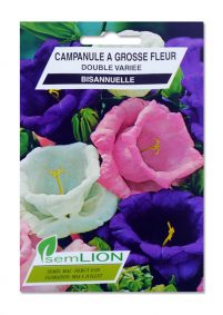 CAMPANULE A GROSSE FLEUR DOUBLE VARIEE