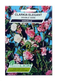 CLARKIA ELEGANT DOUBLE VARIE