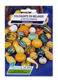 COLOQUINTE EN MELANGE A PETITS FRUITS