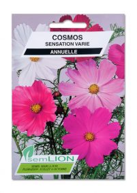 COSMOS SENSATION VARIE