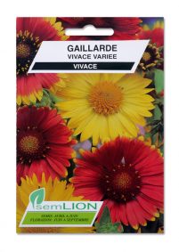 GAILLARDE VIVACE VARIEE