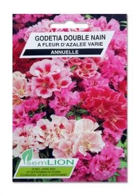 GODETIA DOUBLE NAIN A FLEUR D'AZALEE VARIE