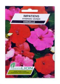 IMPATIENS HYBRIDE VARIEE