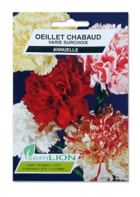 OEILLET CHABAUD VARIE SURCHOIX