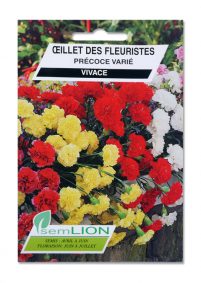 OEILLET DES FLEURISTES PRECOCE VARIE