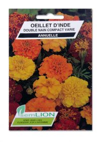OEILLET D'INDE DOUBLE NAIN COMPACT VARIE