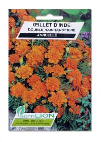 OEILLET D'INDE DOUBLE NAIN TANGERINE