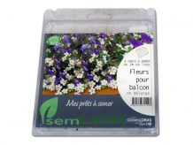 FLEURS BALCON EN MELANGE
