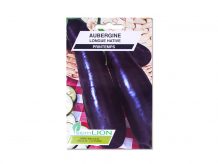 AUBERGINE LONGUE HATIVE