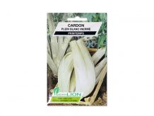 CARDON PLEIN BLANC INERME