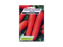 CAROTTE POTAGERE TOUCHON