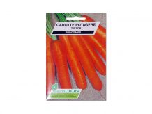 CAROTTE POTAGERE TIP TOP