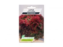 LAITUE LOLLO ROSSA