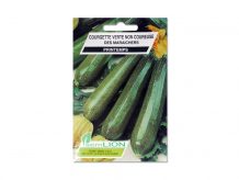 COURGETTE VERTE NON COUREUSE DES MARAICHERS