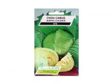 CHOU CABUS QUINTAL D'ALSACE