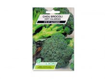 CHOU BROCOLIS VERT CALABRAIS