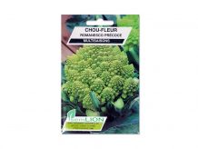 CHOU FLEUR ROMANESCO PRECOCE