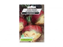 CHOU NAVET RUTABAGA CHAMPION