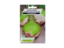 CHOU NAVET RUTABAGA JAUNE COLLET VERT