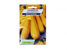 COURGETTE GOLD RUSH (hybride) F1