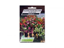 FLEURS POUR BALCON EN MELANGE