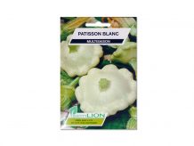 PATISSON BLANC