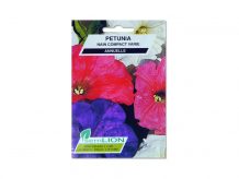 PETUNIA NAIN COMPACT VARIE