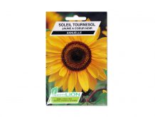 SOLEIL TOURNESOL JAUNE A COEUR NOIR