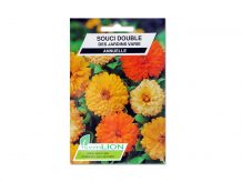 SOUCI DOUBLE DES JARDINS VARIE