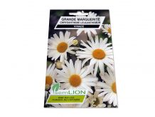 GRANDE MARGUERITE BLANCHE CHRYSANTHEME MAXI